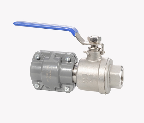 秋葵视频成人网站